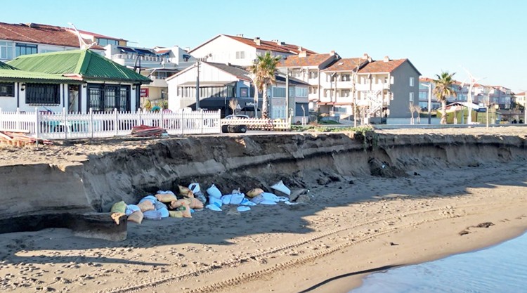 Karasu yok olma tehlikesiyle karşı karşıya: Karadeniz, Karasu’yu parça parça yutuyor
