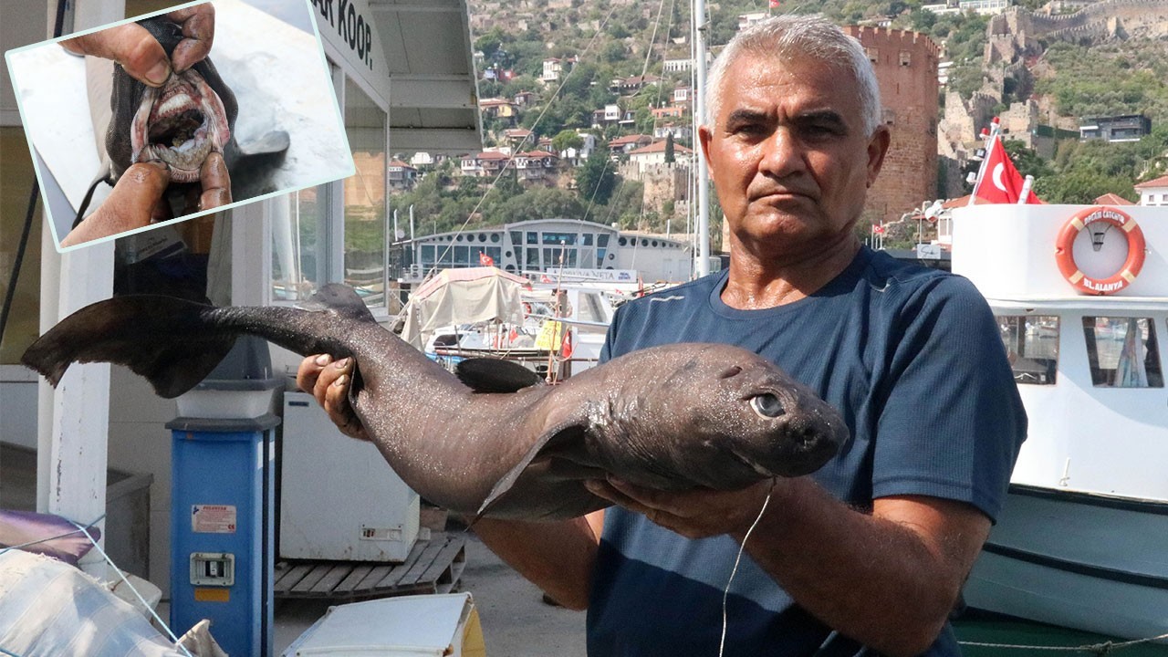 Karataş’ta 150 kiloluk kılıç köpekbalığı yakalandı