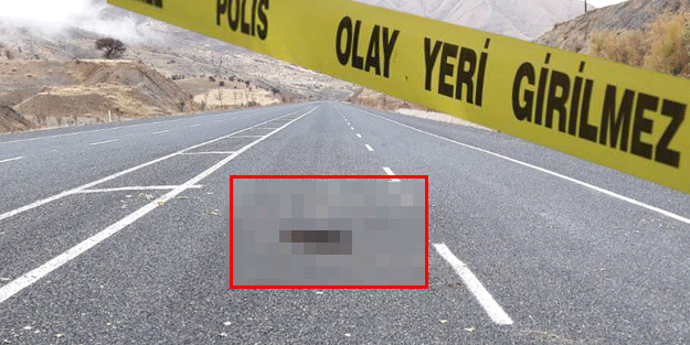 Dehşete düşüren görüntü! Sürücüler, durumu güvenlik güçlerine bildirdi