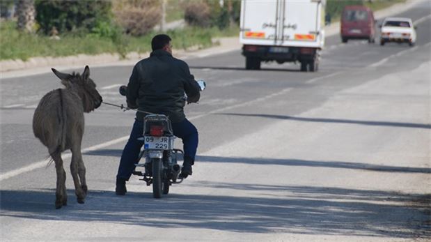 Karayolunda eşeğe motosikletli eziyet