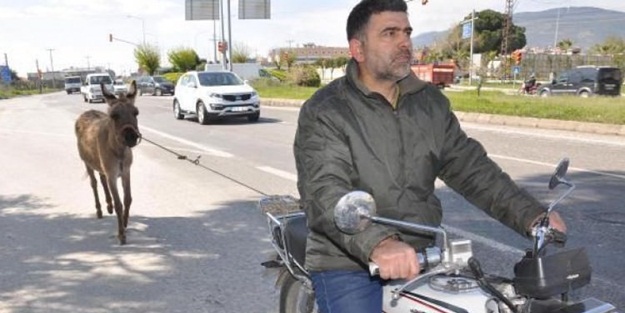 Karayolunda hayvana eziyet cezasız kalmadı