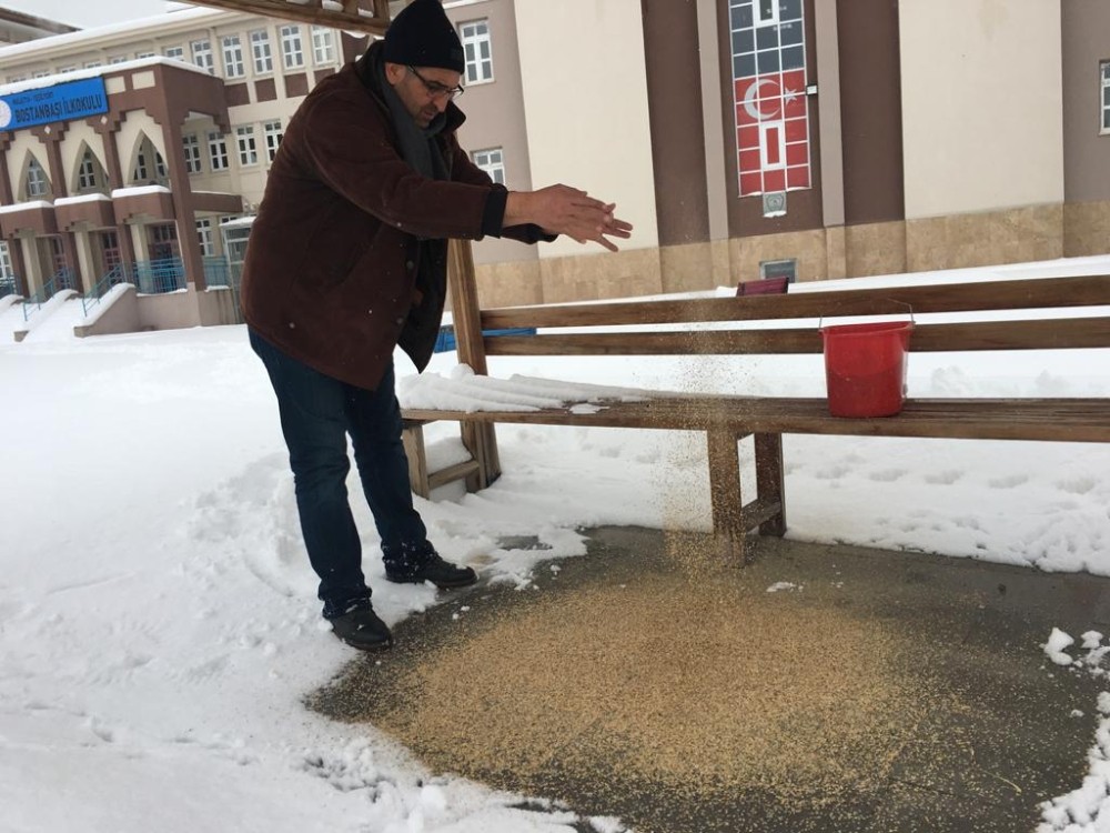 Karda aç kalan kuşlar için doğaya yem bırakıldı 