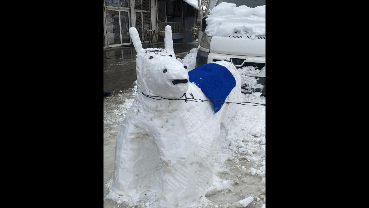 Kardan eşek güldürdü