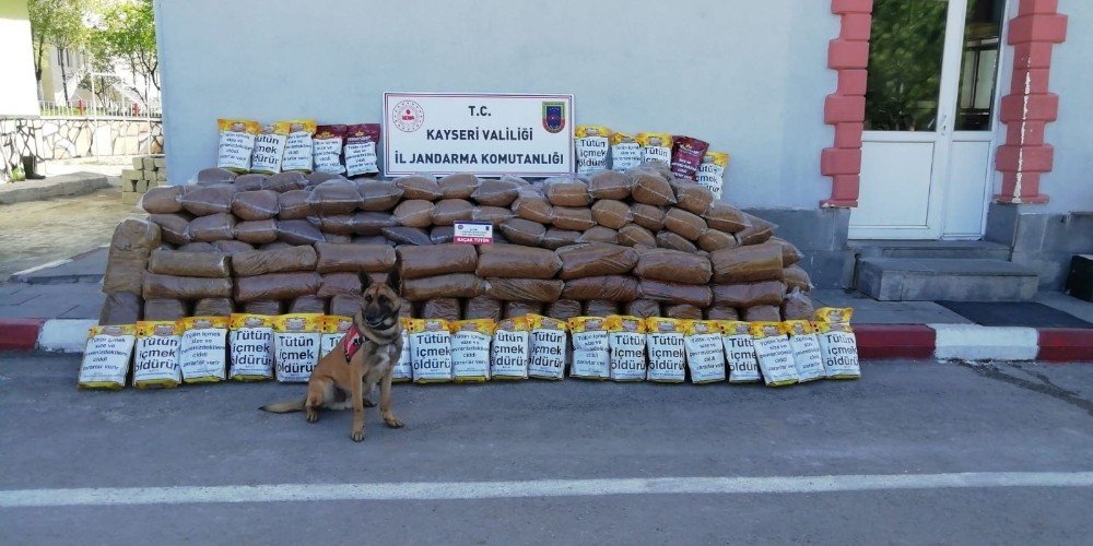Karga aracında 2 ton 250 kilo kaçak sarmalık kıyılmış tütün ele geçirildi 