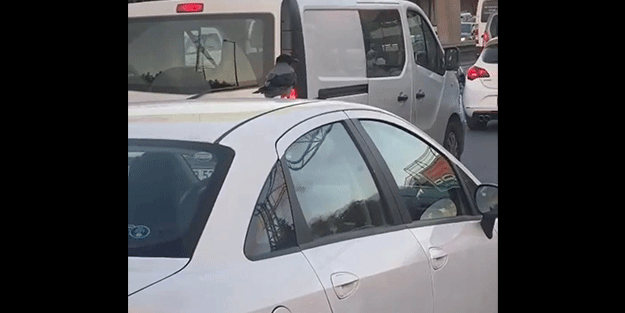 Karganın otomobil yolculuğu şaşırttı