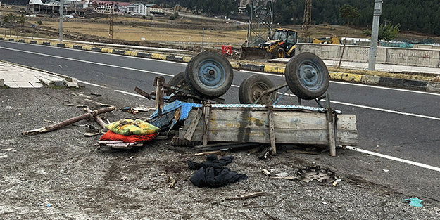 Kargo aracı at arabasına çarptı