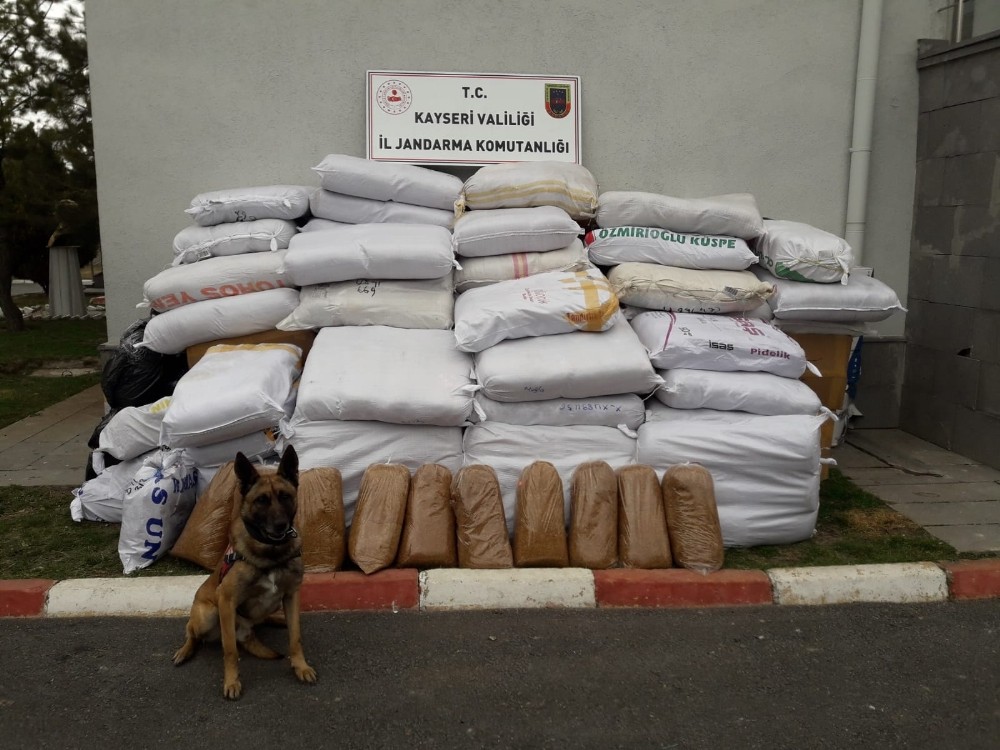 Kargo aracında 2 buçuk ton kaçak tütün ele geçirildi 