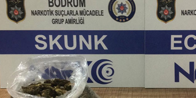 Kargo paketinden uyuşturucu çıktı