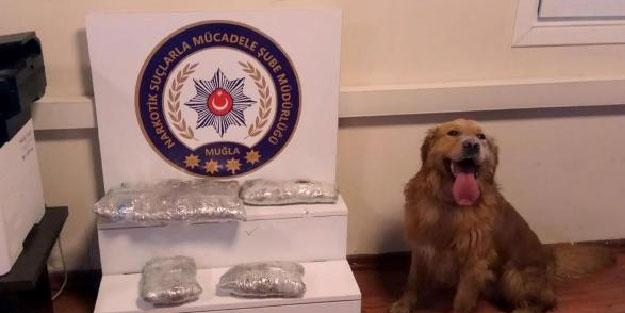 Karı koca ile kayınvalideye 'uyuşturucu' gözaltısı