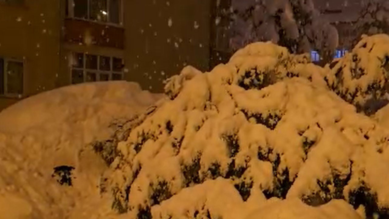 Karın ağırlığı çam ağacını devirdi! 2 araç zarar gördü