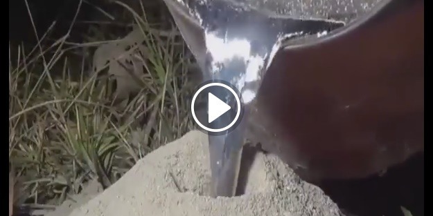 Karınca yuvasına erimiş alüminyum dökülürse...