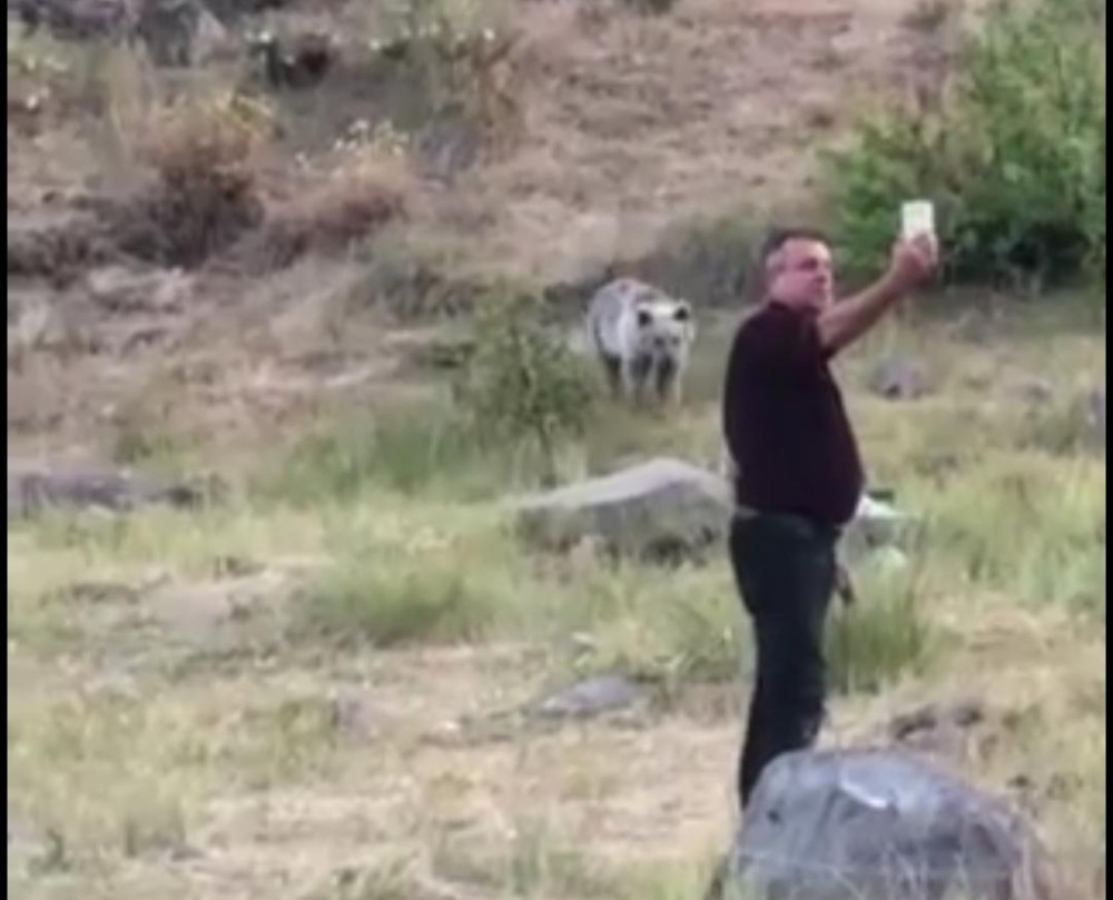 Karınları acıkan yavru ayıları kendi elleriyle beslediler 