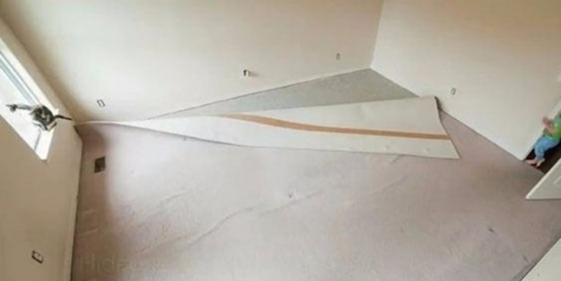 Karısı evde yokken öyle bir şey yaptı ki!