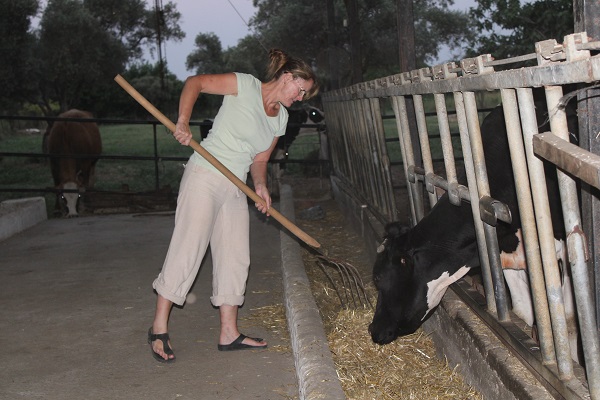 Kariyerini elinin tersiyle itti! İngiliz kadın Türkiye'ye geldi bakın ne yapıyor