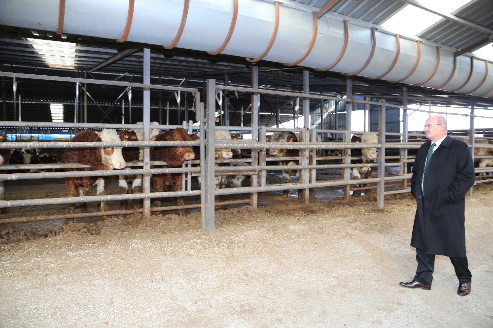 Karkas etin sınıflandırılmasına ATO üyelerinden destek 