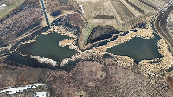 Karlar eridi kuşlar akın etmeye başladı