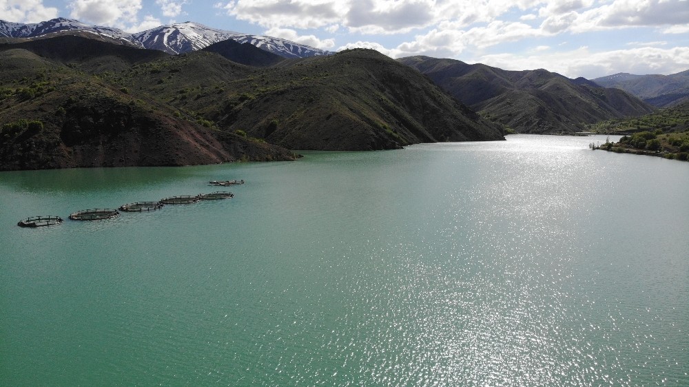Karların erimesiyle Erzincan’daki barajlarda doluluk oranı arttı 