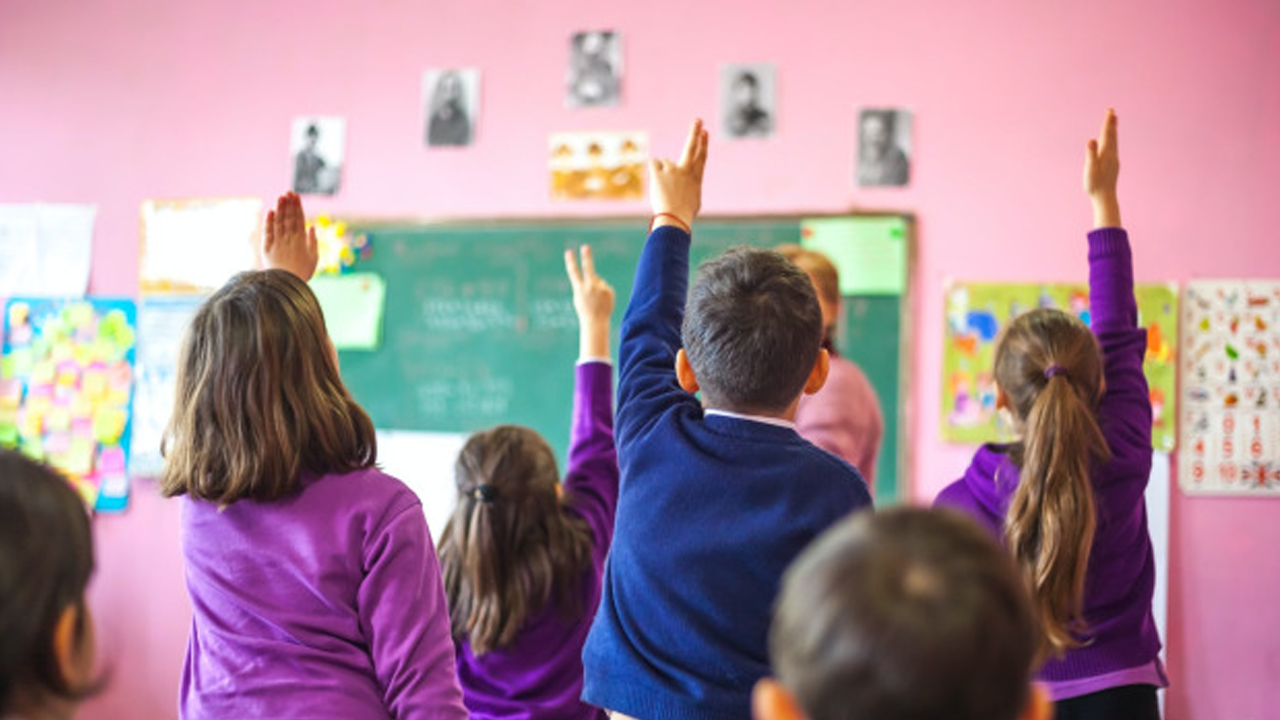 Karma eğitimin yanlışlığı!