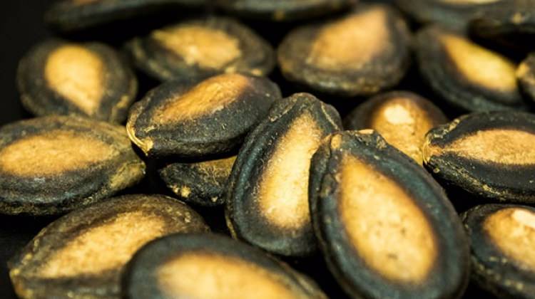 Karpuz çekirdeğinin faydaları