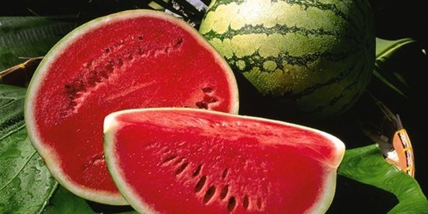 Karpuz hakkında bilinmeyenler nelerdir?