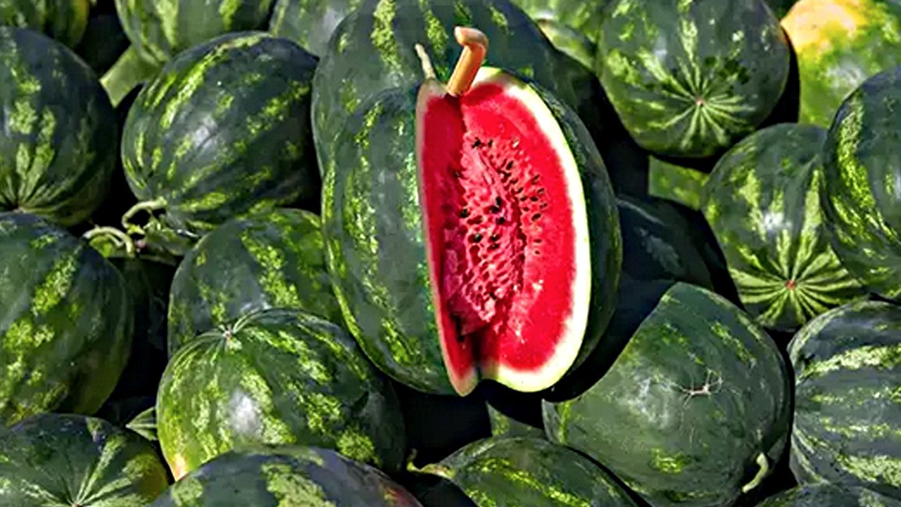 Karpuz içindeki şifa şekerle kaynatınca 3 katına çıkıyor! Herkes peşinde! Diyarbakır, Adana'da...