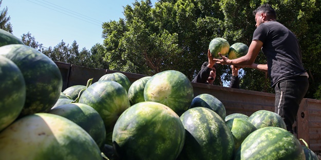Karpuz ihracatından 2 haftada 1,5 milyon dolar gelir!