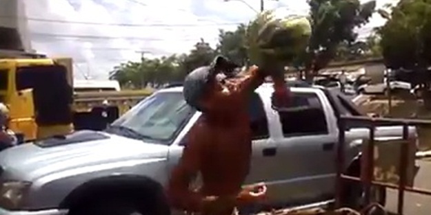 Karpuz tutmayı şova dönüştüren adam