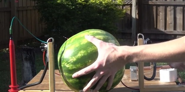 Karpuza 20 bin volt elektrik verdi! İşte sonuç...