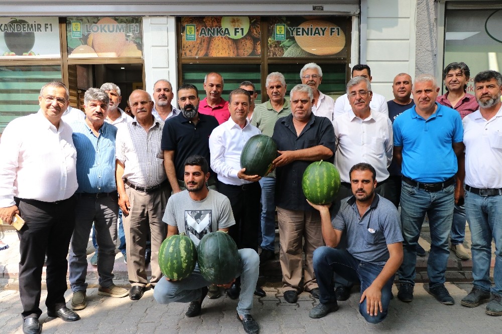 Karpuzun fiyatı, çiftçinin yüzü düştü 