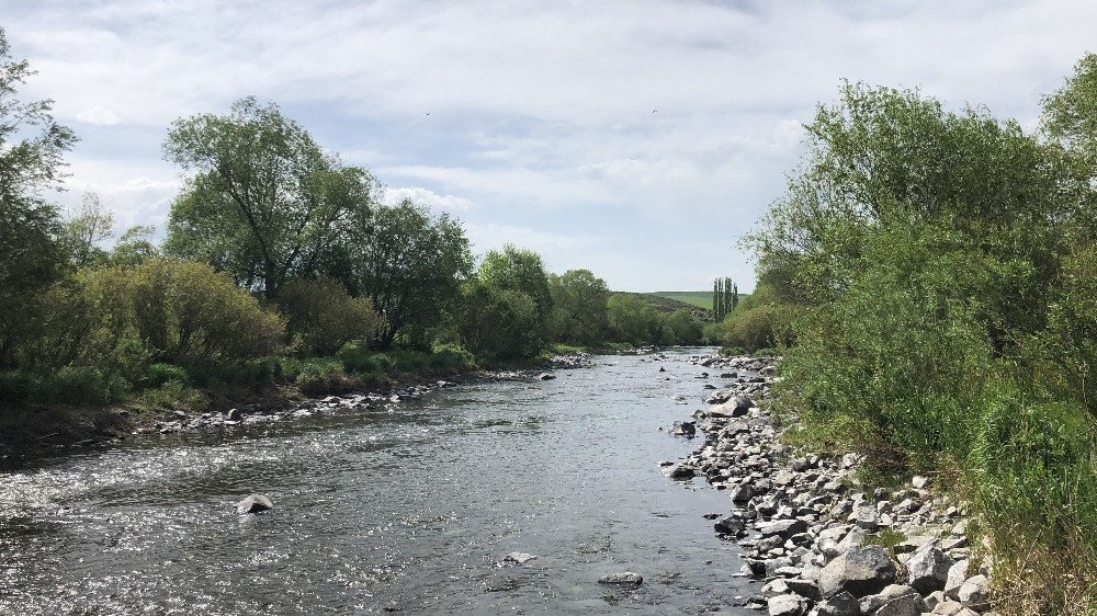 Kars Barajı’ndan balıklara ‘can suyu’ verildi 