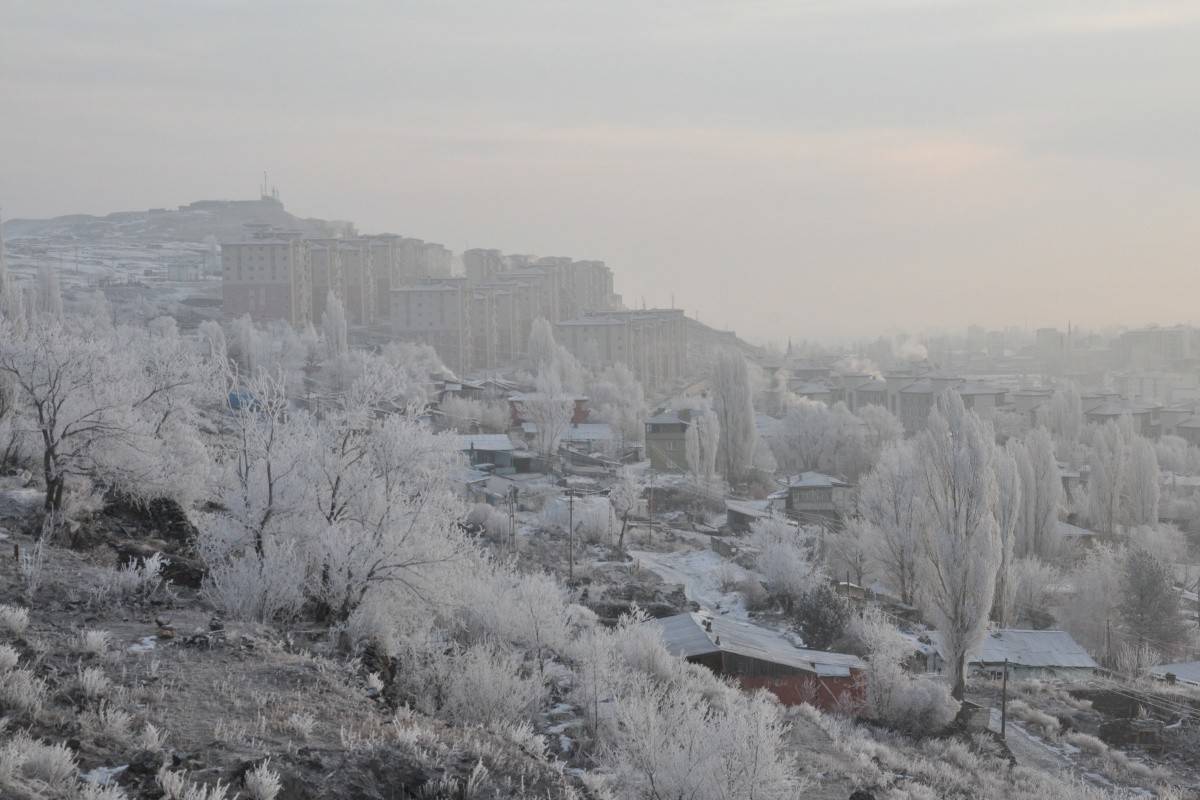 Kars buz kesti, ağaçlar kırağı tuttu
