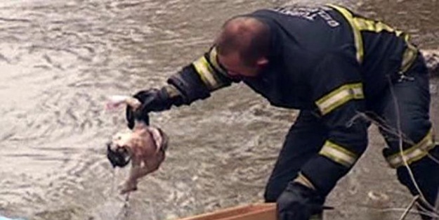 Kars Çayı'nda bebek cesedi