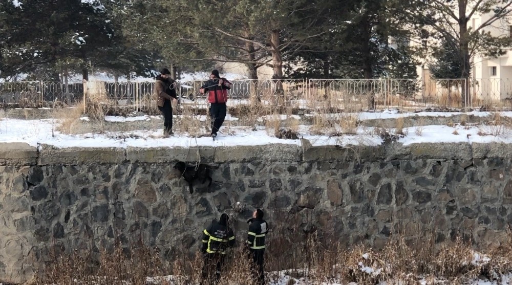 Kars Çayı’nda mahsur kalan köpek kurtarıldı 