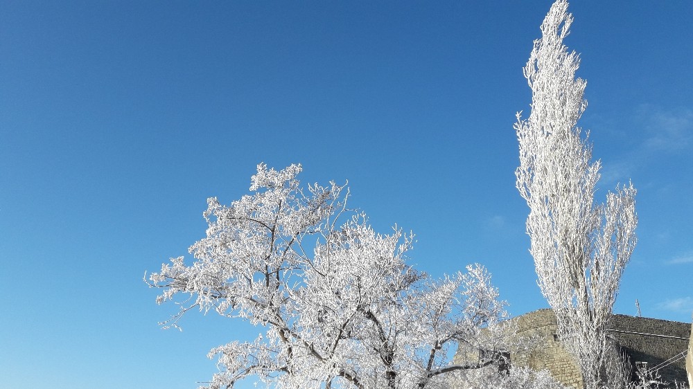 Kars eksi 12’yi gördü, ağaçlarda kırağı oluştu 