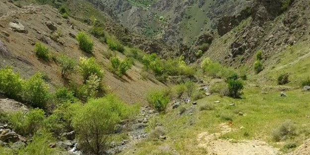 Kars Kağızman'da hayvanlarını otlatmaya giden kişi yaylada ölü bulundu