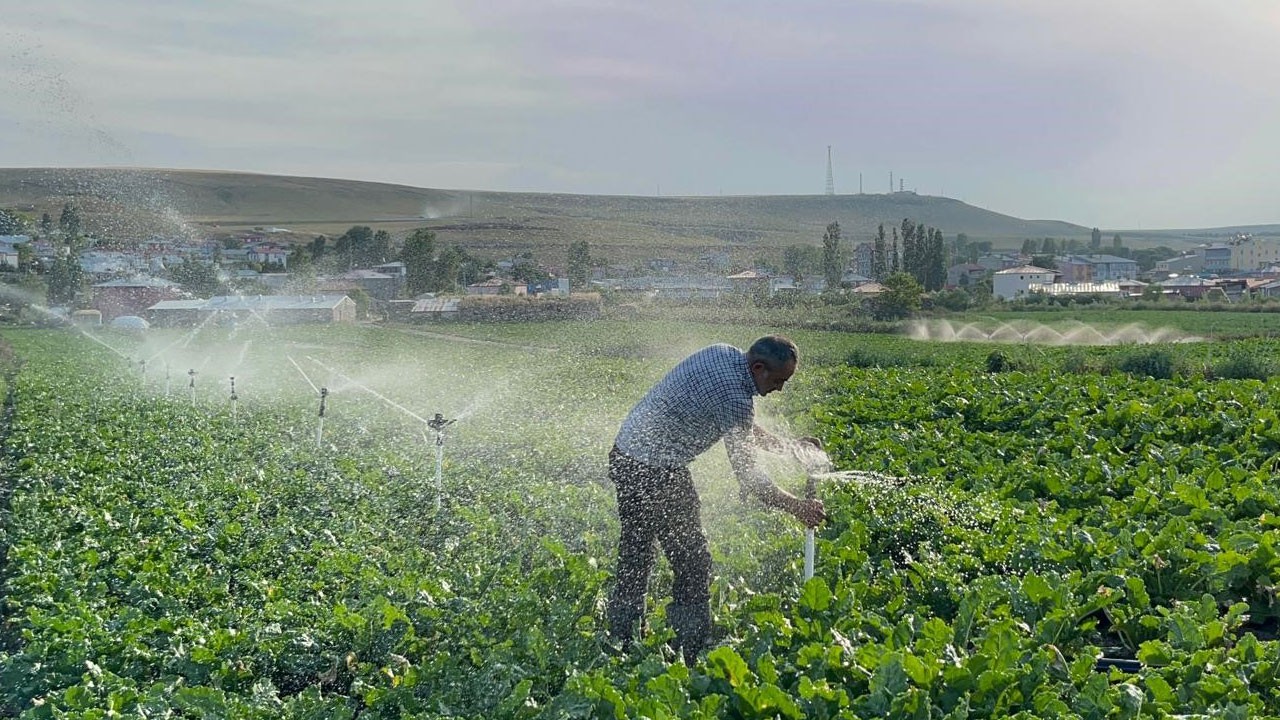 Karslı çiftçinin umudu toprakta filizleniyor!