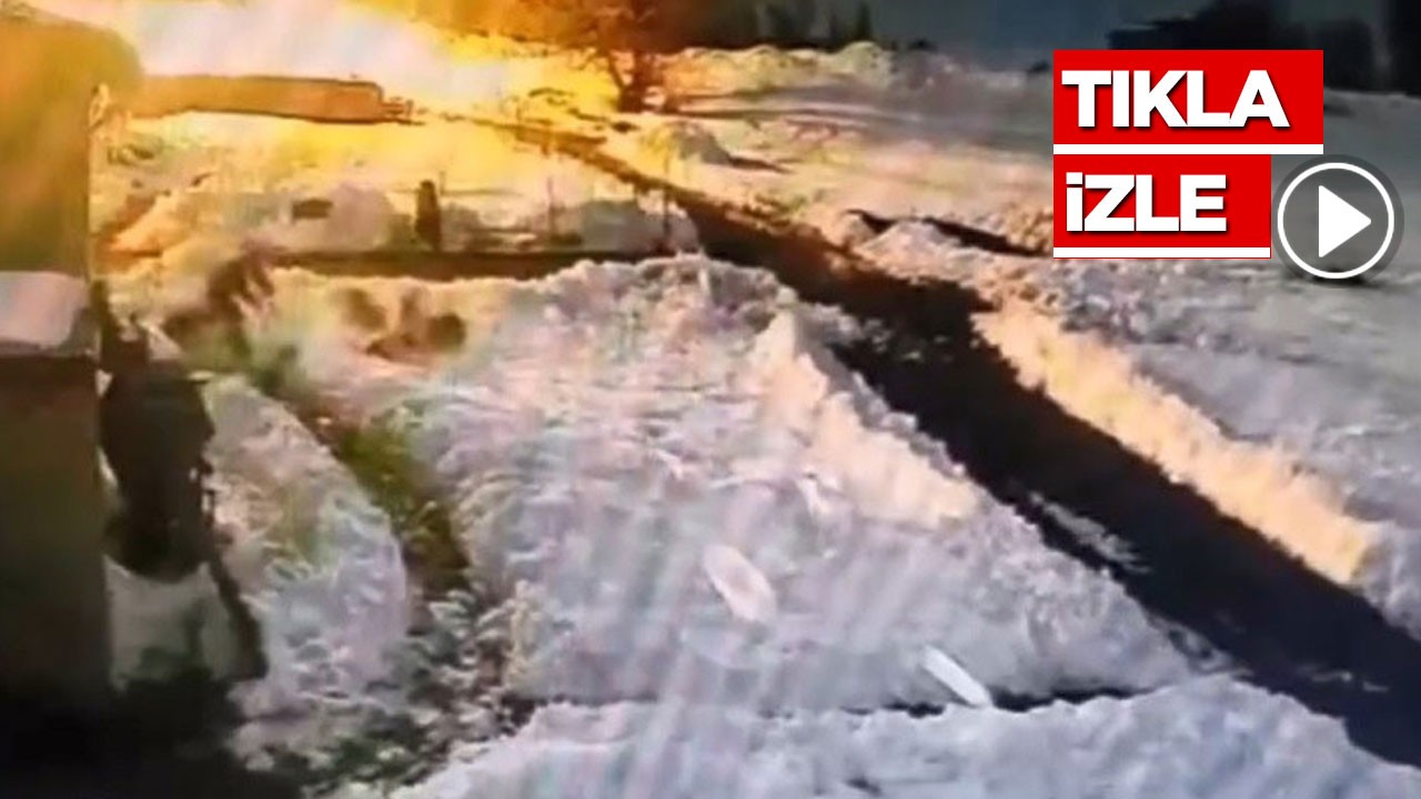 Kars’ta bir vatandaş, kurt sürüsünü kürekle kovaladı