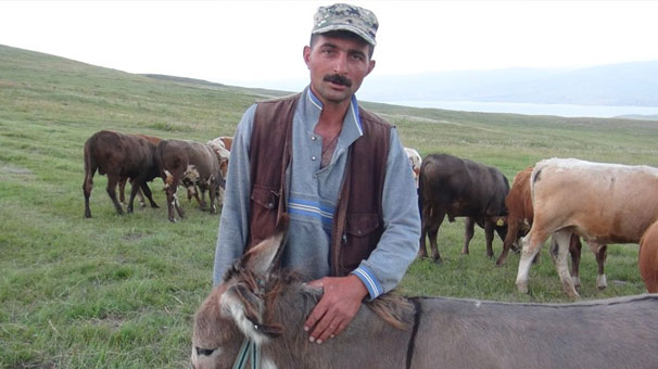 Kars'ta işkenceye maruz kalan eşekler koruma altında!