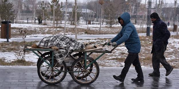 Kars'ta kar yağışı