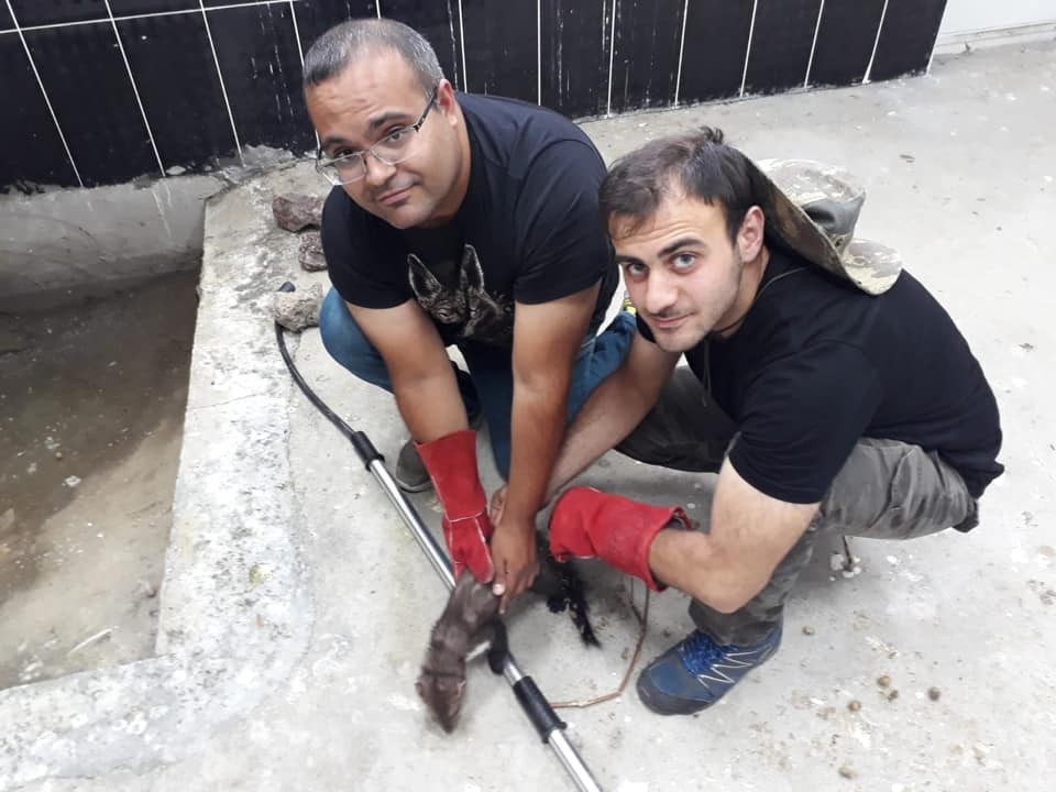 Kars’ta kaya sansarı tedaviye alındı 