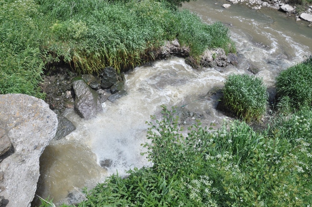 Kars’ta ki balık ölümlerinin sebebi kirlilik 