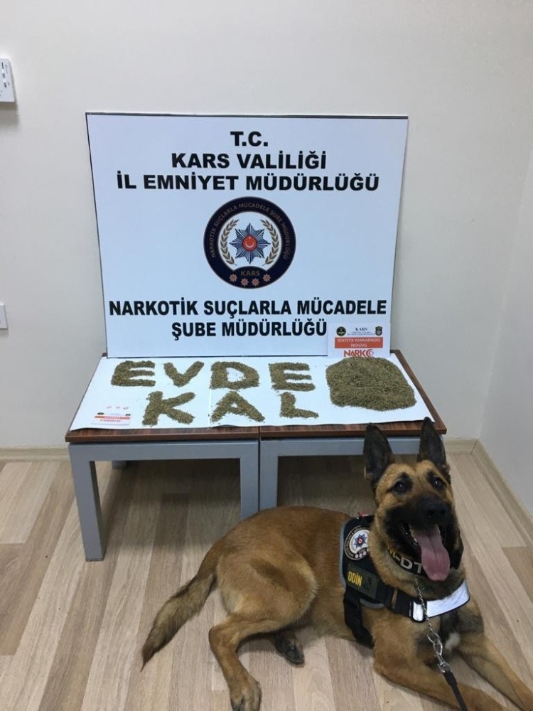 Kars’ta Odin uyuşturucuya geçit vermiyor 