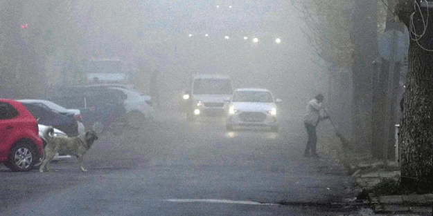 Kars'ta yoğun sis etkili oldu