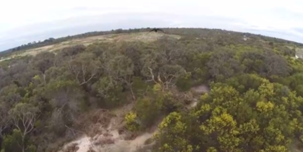 Kartal 'drone'u böyle avladı - VIDEO