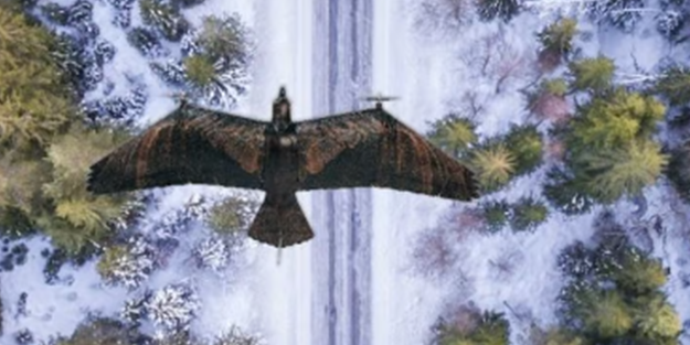 Kartal şeklinde İHA üretildi! Herkes şokta