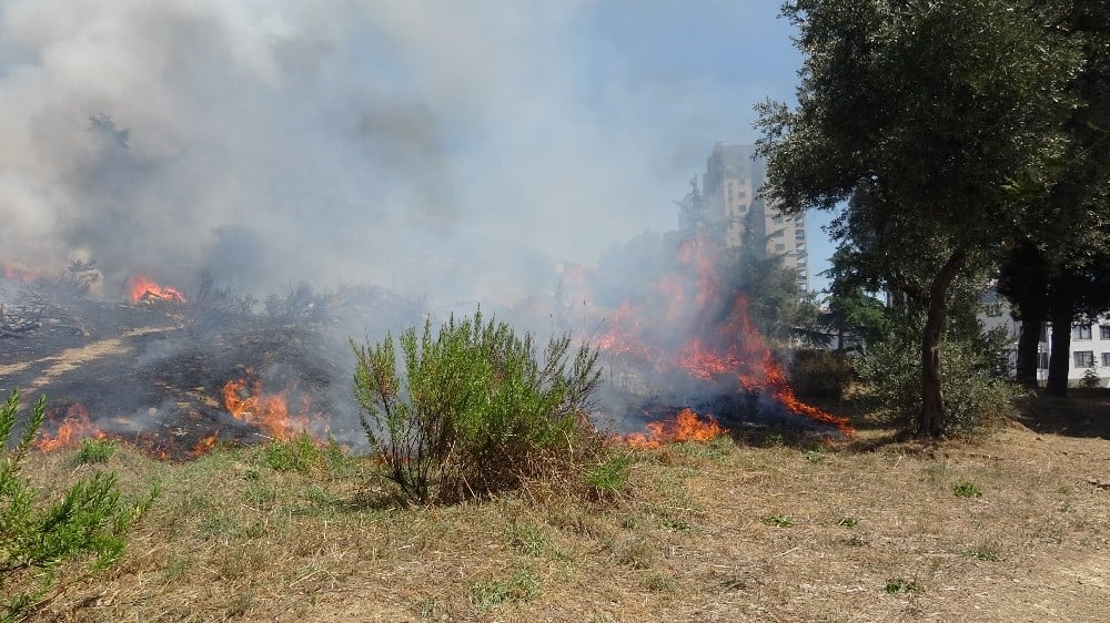 Kartal’da otluk alanda çıkan yangın otoparka sıçramadan söndürüldü 