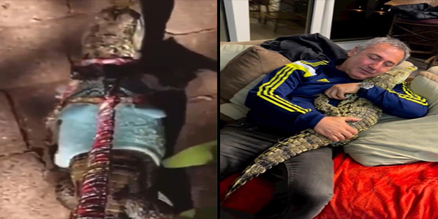 Kartal'daki rezidansa timsah operasyonu!