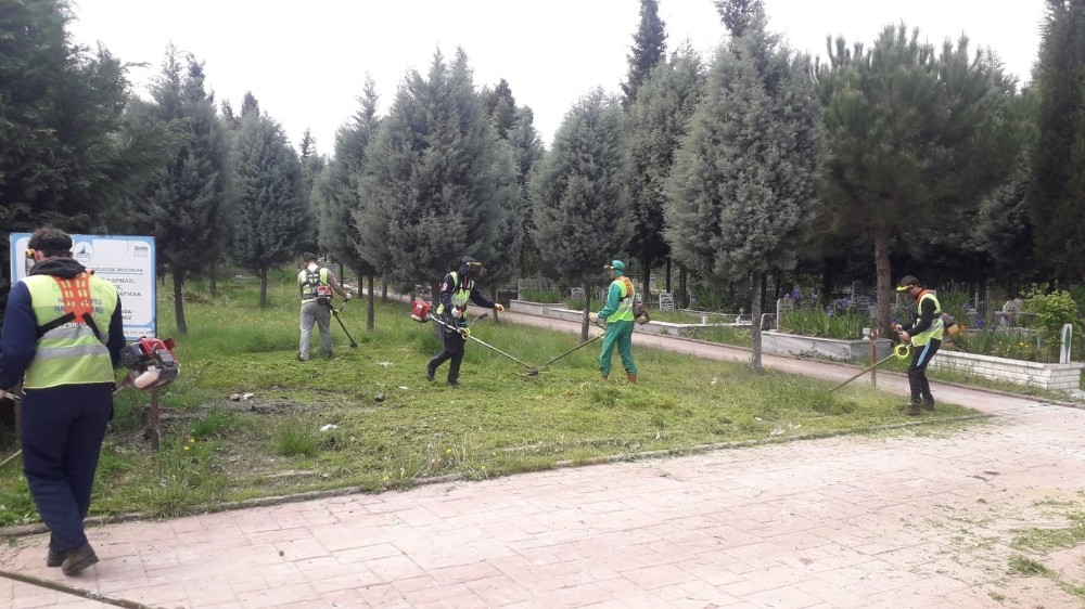 Kartepe’de yabani otlar biçiliyor 