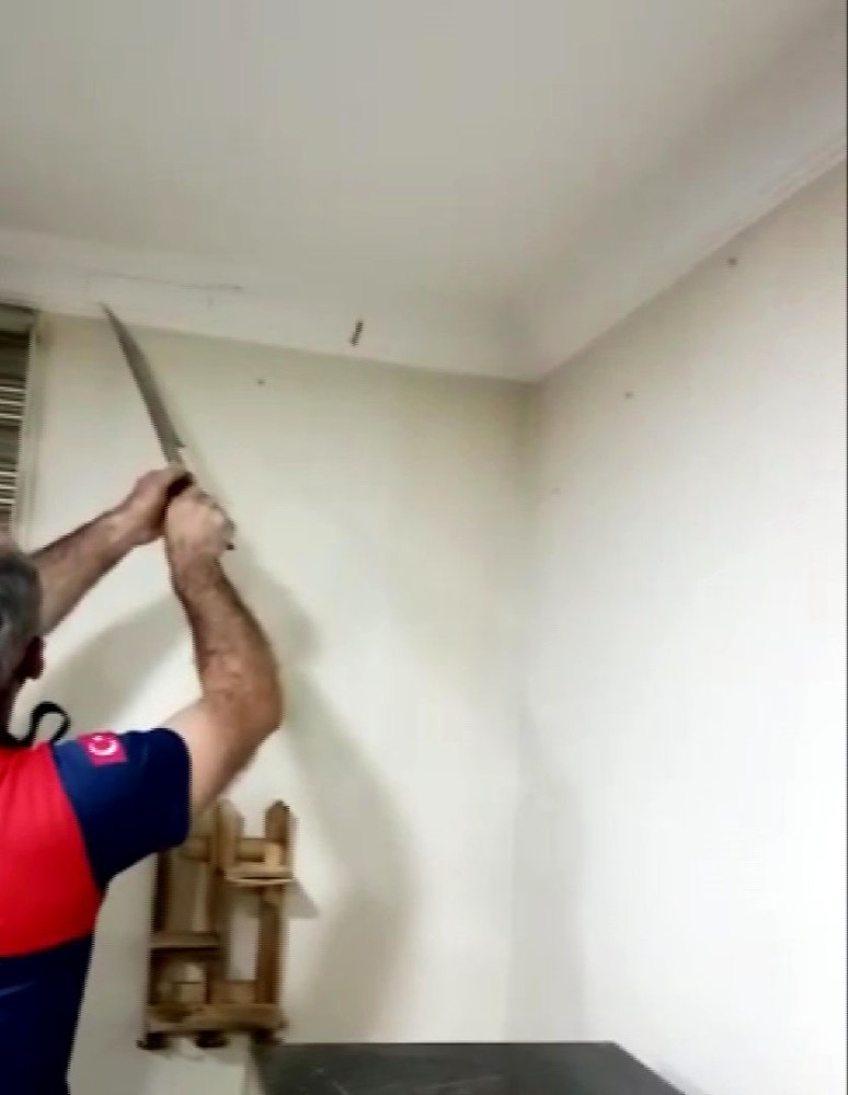Kartonpiyerin arasında 2 yılan çıktı 