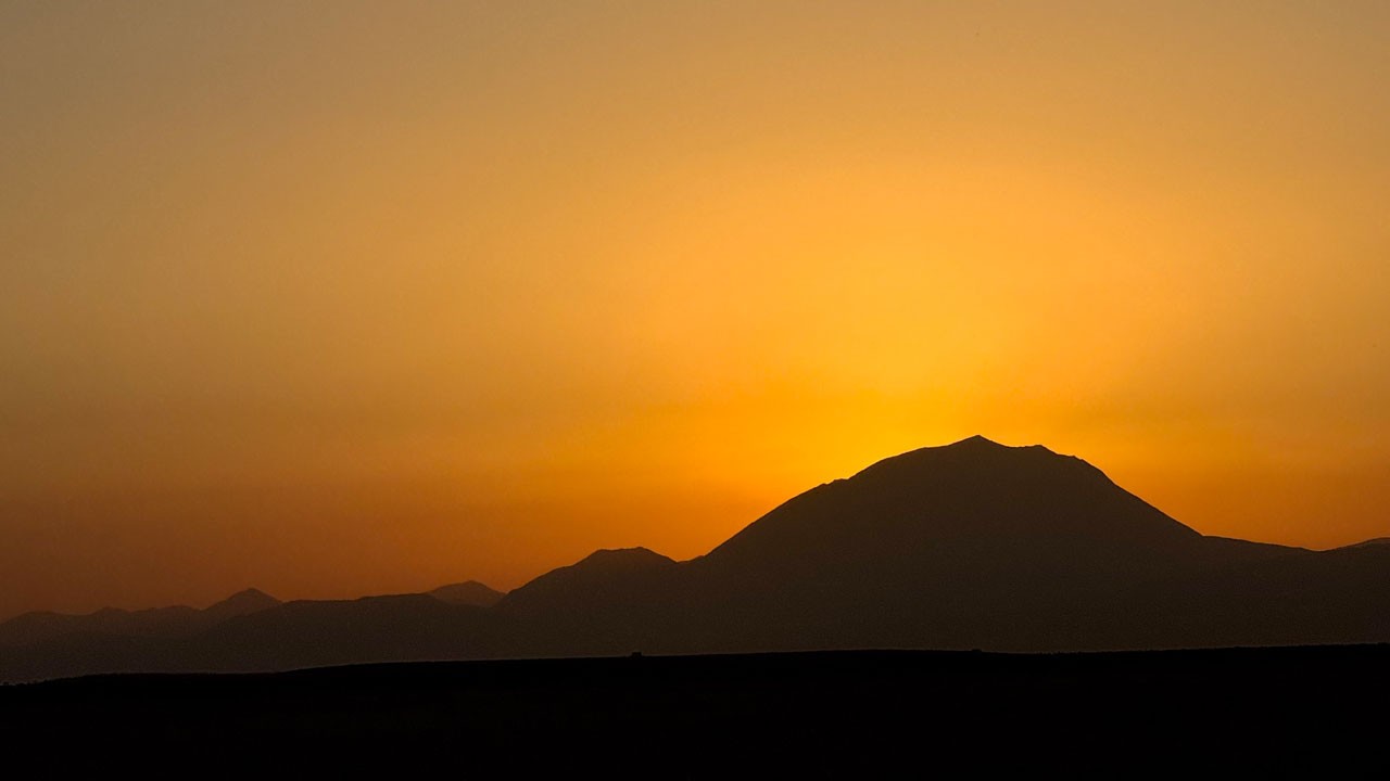 Kartpostallık manzara! Ayçiçekleri ve gün batımı buluştu